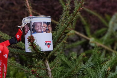 WeihnachtsBaumAktion